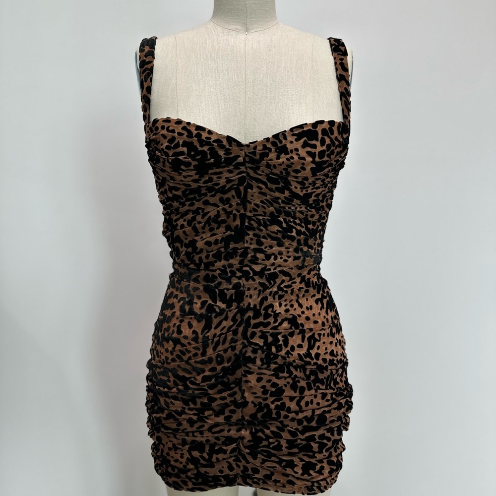 House of Cb Cloe leopard mini dress